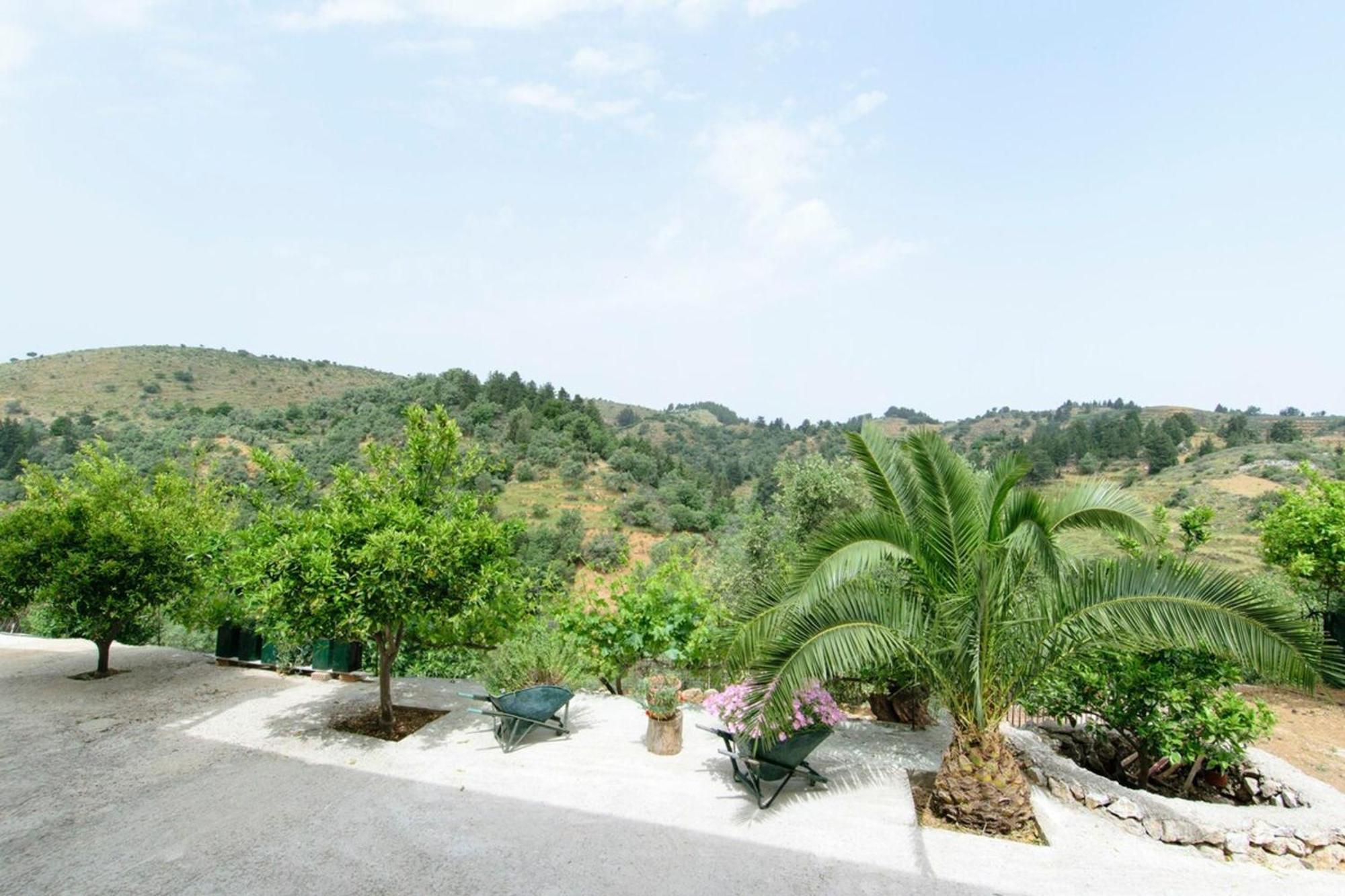 Aoria Traditional House With Stuning Mountain View Loulos Dış mekan fotoğraf
